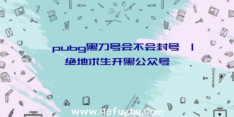 「pubg黑刀号会不会封号」|绝地求生开黑公众号